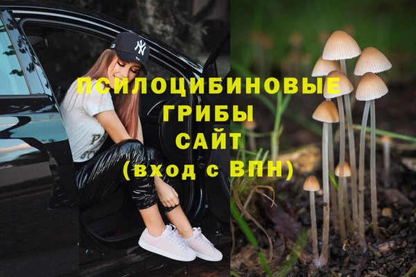 каннабис Володарск