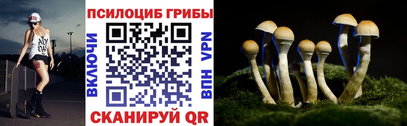 Галлюциногенные грибы мицелий  Пятигорск 